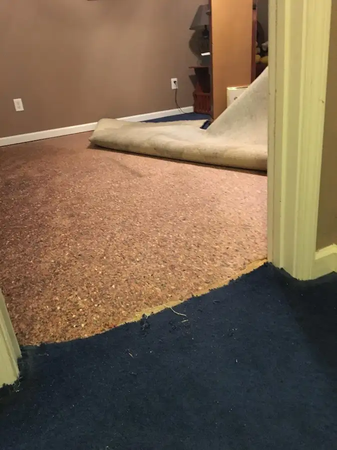 Carpet pad removal revealing water damage during Water Mitigation Services in Columbia Heights