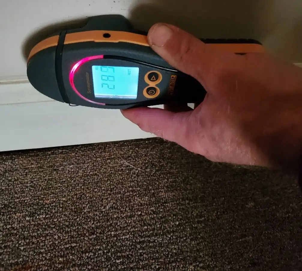 Moisture detection at baseboard during Sewage Cleanup & Sanitation in Columbia Heights